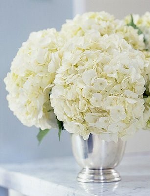{ Pinterest }